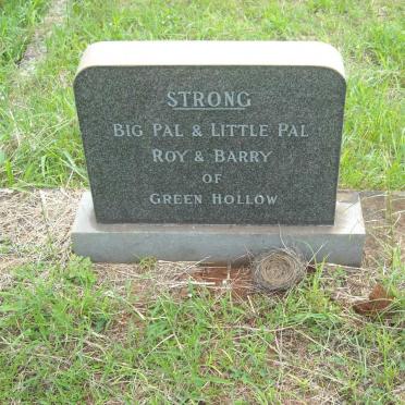 STRONG Roy :: STRONG Barry