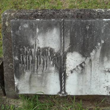 STRONG Fred -1935