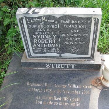 STRUTT Reginald George William 1928-2004 :: Sydney Robert Anthony 1964-1992 :: STRUTT Sydney Robert 1905-1981