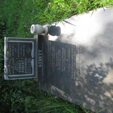 STRUTT Reginald George William 1928-2004 :: Sydney Robert Anthony 1964-1992 :: STRUTT Sydney Robert 1905-1981