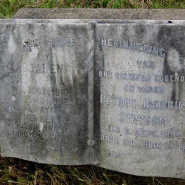 STRYDOM Petrus Jacobus 1899-1956 &amp; Magdalena Hendrina 1910-1992