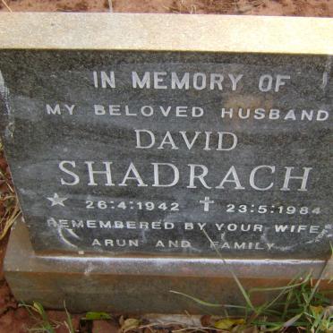 SHADRACH David 1942-1984