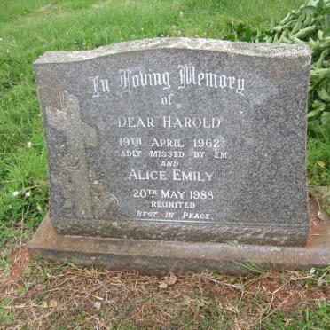 TAYLOR Harold -1962 &amp; Alice Emily -1988