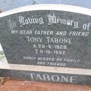 TABONE Tony 1929-1992