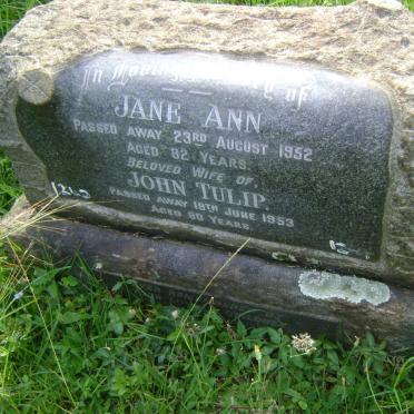 TULIP John -1953 &amp; Jane Ann -1952