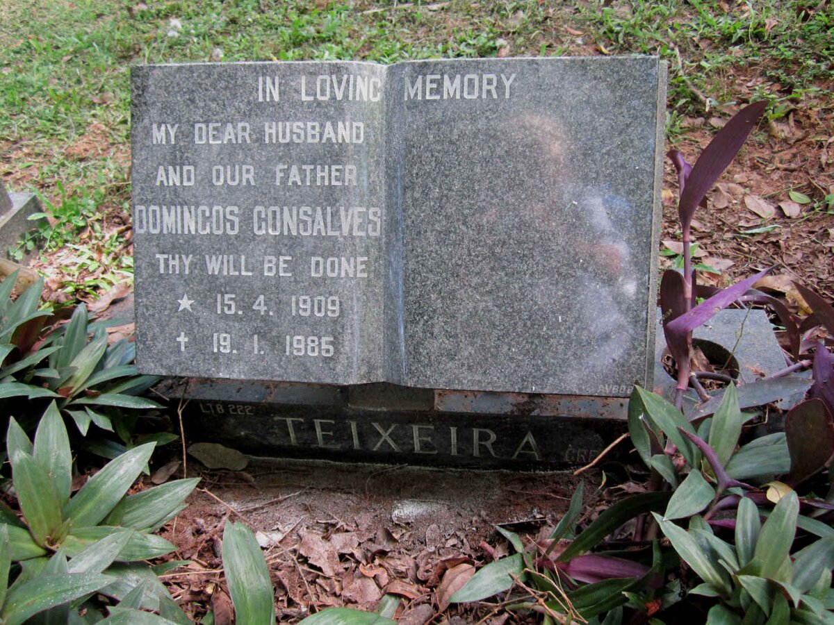TEIXEIRA Domincos Consalves 1909-1985