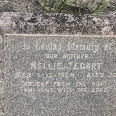 TEGART Nellie -1959
