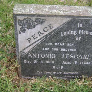TESCARI Antonio -1964