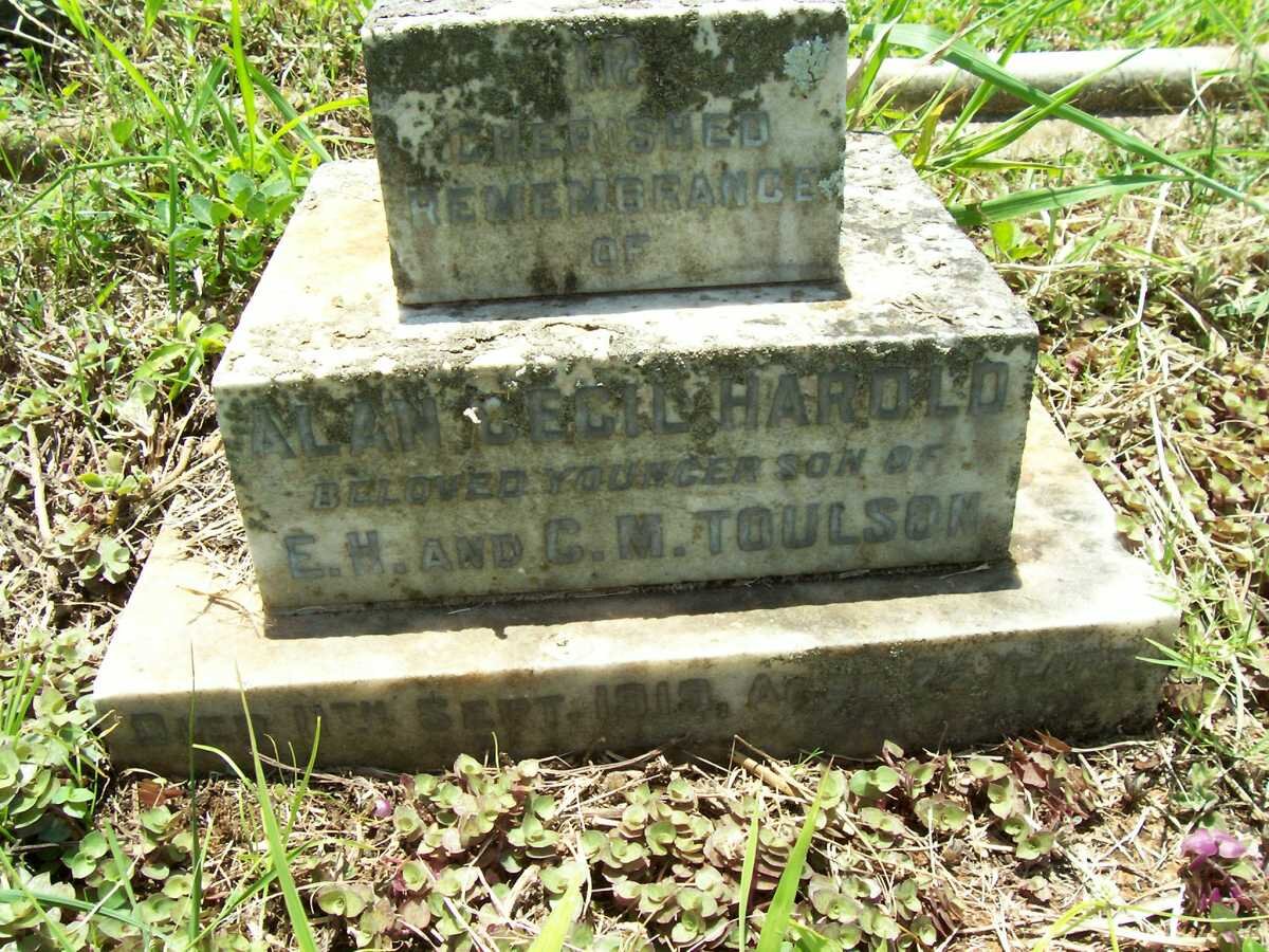 TOULSON Alan Cecil  Harold -1919