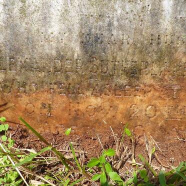 THOMSON Alexander Sutherland -1917