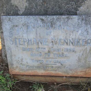 VENNIKER Stephanie -1955