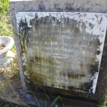 VENT Jacobus, van der -1945 :: VAN DER VENT Paulina -1959