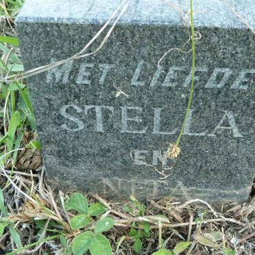 VUUREN Daniel Benjamin, van 1914-1967