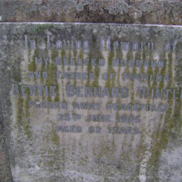 WINTLE Bertie Bernard -1955