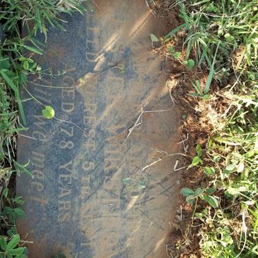 Wi - Surnames starting with the letters Wi