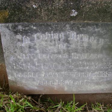 WILMANN Frans Rudolph -1969