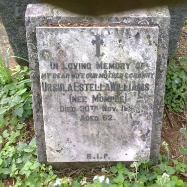 WILLIAMS Ursula Estella nee MOMPLE -1951