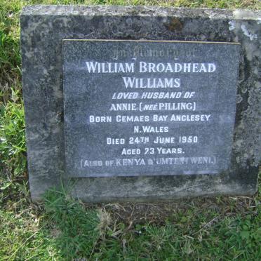 WILLIAMS William, Broadhead -1950 