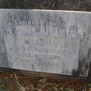 WILLIAMS Marguerite Marie 1893-1977 :: WOODHEAD Olive Mary nee WILLIAMS 1922-1977
