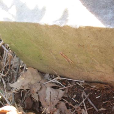 WISE Ella Maude -1962