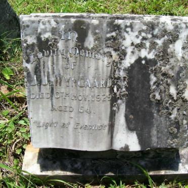 WYNGAARD J.J. -1929