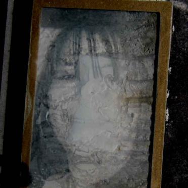 WHEATLEY Sherrine Pearl nee VAN WYK 1973-2010