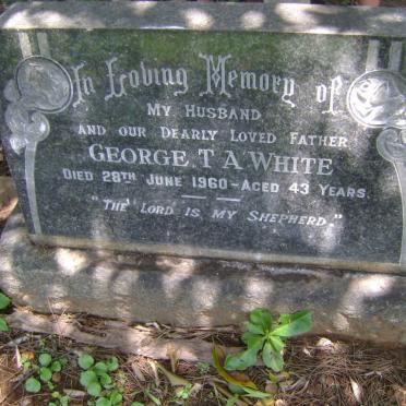 WHITE George T.A. -1960