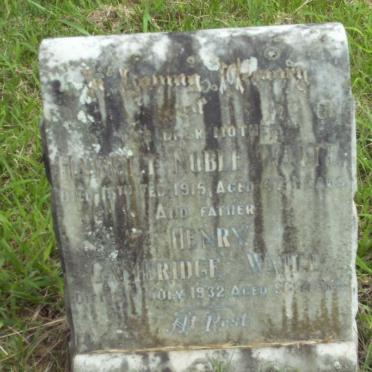 WHITE Henry Cambridge -1932 &amp; Hardly Noble -1915