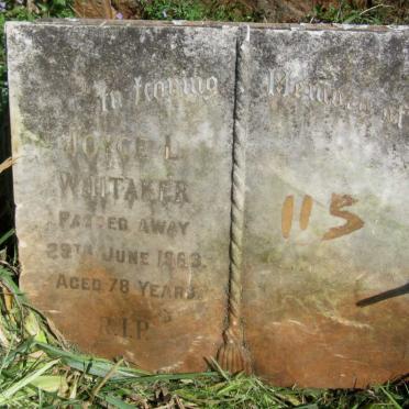 WHITAKER Joyce Leadwood -1963