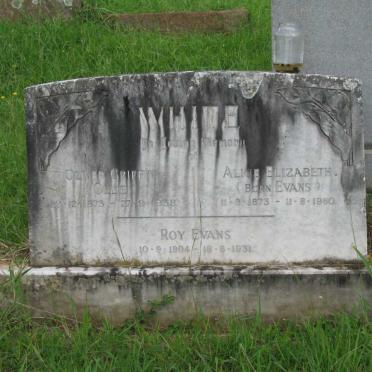 WHITE Oliver Griffin 1873-1938 &amp; Alice Elizabeth EVANS 1873-1960 :: WHITE Roy Evans 1904-1931