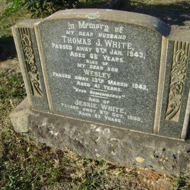 WHITE Thomas J. -1943 &amp; Jessie -1960 :: WHITE Wesley -1942
