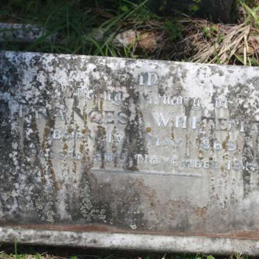 WHITEMAN Frances 1869-1919