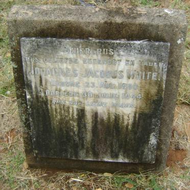 WHITE Johannes Jacobus 1880-1944
