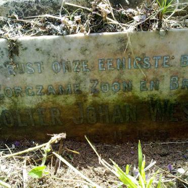 WESSELS Wolter Johan 1913-1939