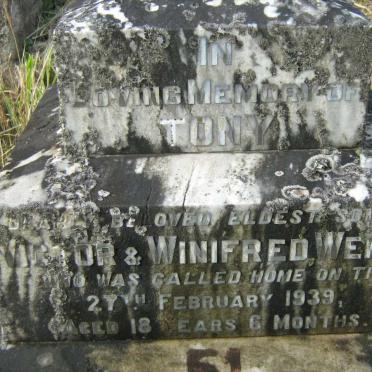 WENKE Eileen -1948 :: WENKE Robey -1952 :: WENKE Tony -1939 