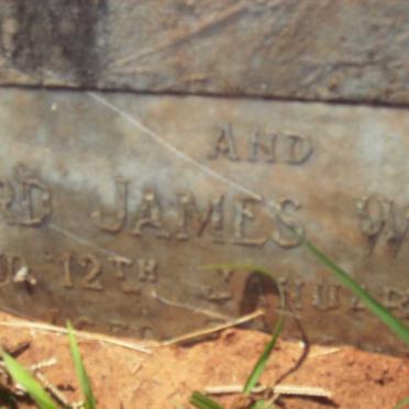 WESTBROOK Florence Elizabeth -1916 :: WESTBROOK William George -1916 :: WESTBROOK Richard James -1956