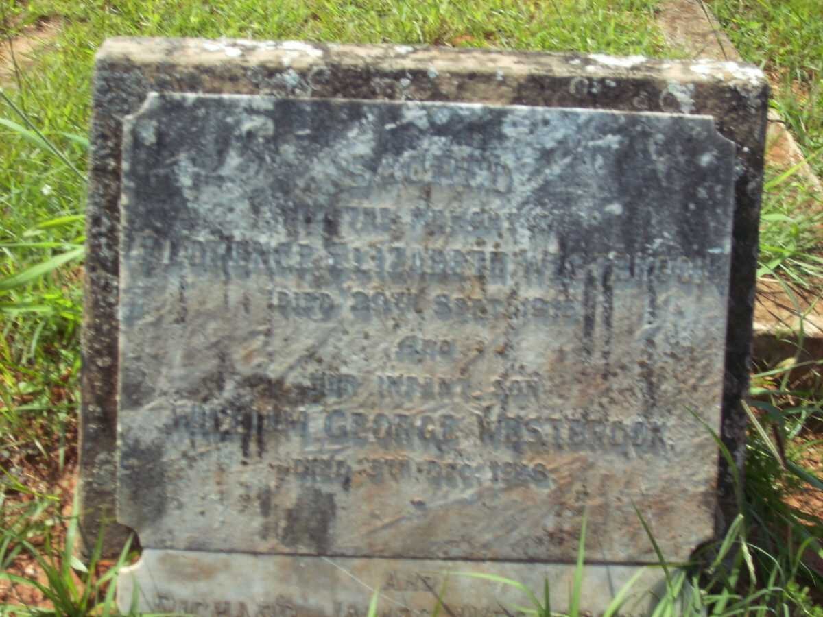 WESTBROOK Florence Elizabeth -1916 :: WESTBROOK William George -1916 :: WESTBROOK Richard James -1956