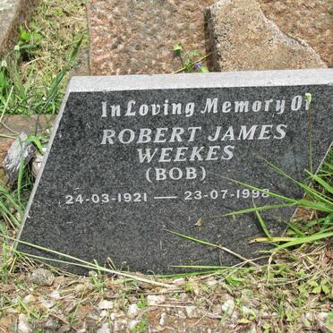 WEEKES Charles William -1936 :: WEEKES Robert James 1921-1998