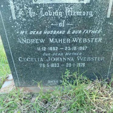 WEBSTER Andrew Maher 1892-1967 &amp; Cecelia Johanna 1893-1976 :: FERREIRA Daphne 1930-1996