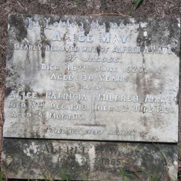 WADE Alice May -1920 :: WADE Alice Patricia -1910 :: WADE Mildred Annie -1920