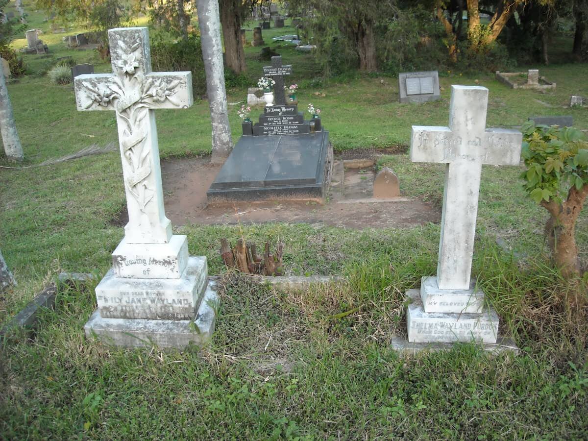 WAYLAND Emily Jane 1856-1929 :: PURDON Thelma Wayland -1946