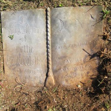 WALKER Lottie Emily nee WRIGHT -1947 :: SALVESEN Audrey Edith -1982