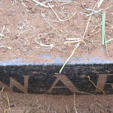 WARD Nelly Jane 1919-1976 :: WARD Cecil 1950-1976