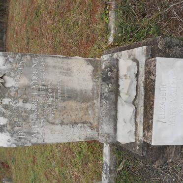 YOUNG Elizabeth Mary 1907-1992 :: YOUNG Daphne Sheila -1942