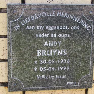 BRUYNS Andy 1936-1999