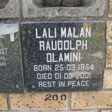 DLAMINI Lali Malan Raudolph 1954-2001