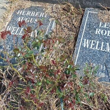 WELLMANN Herbert August -2013 :: WELLMANN Leon Robin 1957-2019