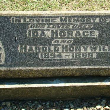 HONYWILL Ida 1894-1899 :: HONYWILL Horace 1894-1899 :: HONYWILL Harold 1894-1899