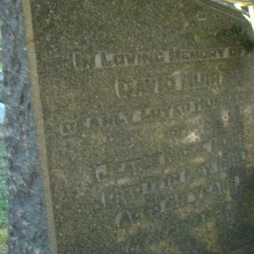 MUIR David