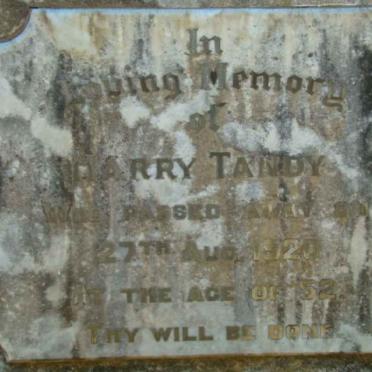 TANDY Harry -1920